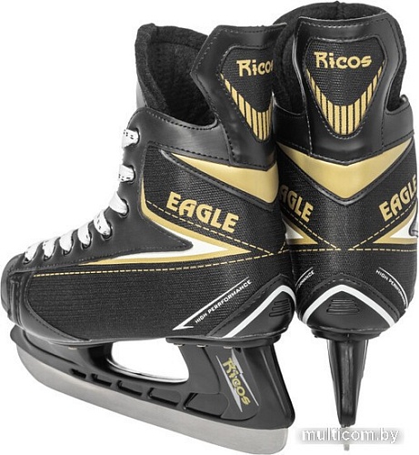 Хоккейные коньки Ricos Eagle PW-206AJ (р.43, черный)