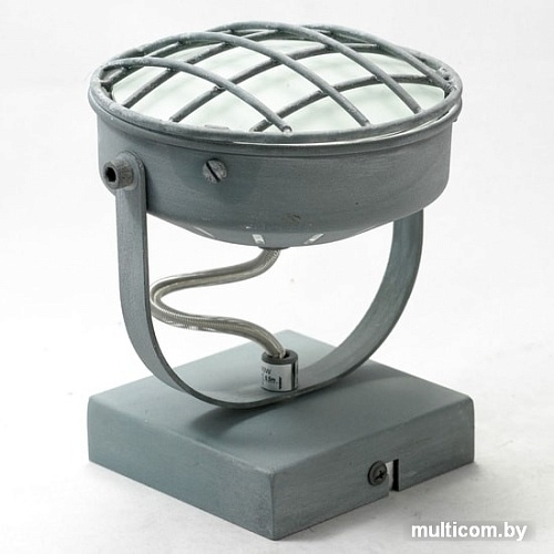 Спот Lussole Loft GRLSP-9979