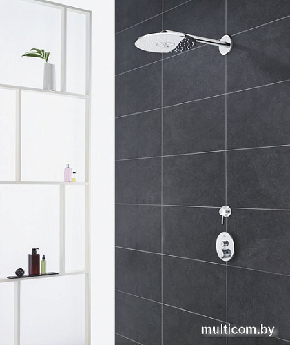 Душевая лейка Grohe Euphoria 260 26457000