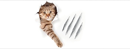 Корзина JoyArty Кот с царапиной gaba_31202_S