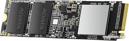 SSD A-Data XPG SX8100 2TB ASX8100NP-2TT-C