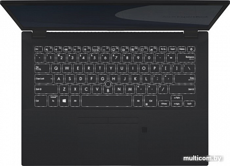 Ноутбук ASUS ExpertBook P2 P2451FA-BM1357T