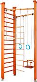 Детский спортивный комплекс Карусель 3Д.01.01 (орех)