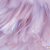 Фотообои Vimala Перья 1 270x400