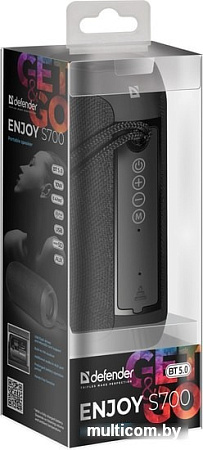 Беспроводная колонка Defender Enjoy S700 (черный)
