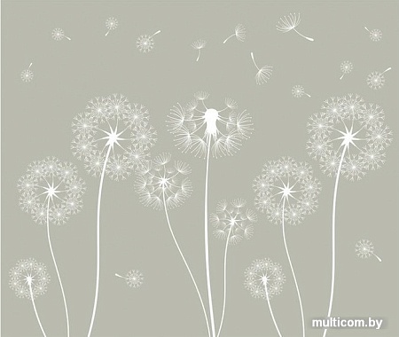 Фотообои Citydecor Одуванчик 300x254