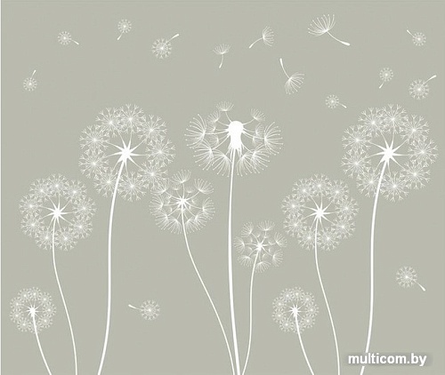 Фотообои Citydecor Одуванчик 300x254