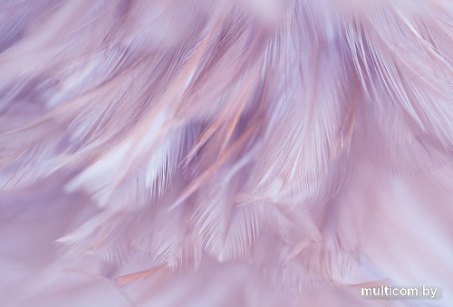 Фотообои Vimala Перья 1 270x400