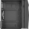 Корпус AeroCool Raider Mini-G-BK-v2