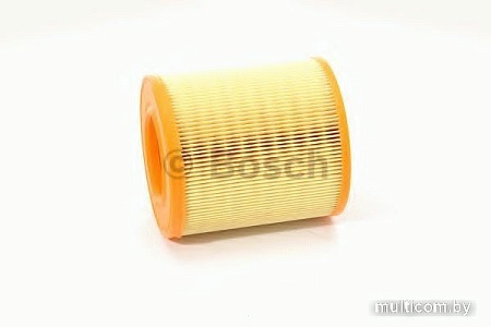 Воздушный фильтр Bosch F026400027
