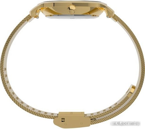 Наручные часы Timex Transcend TW2V51900