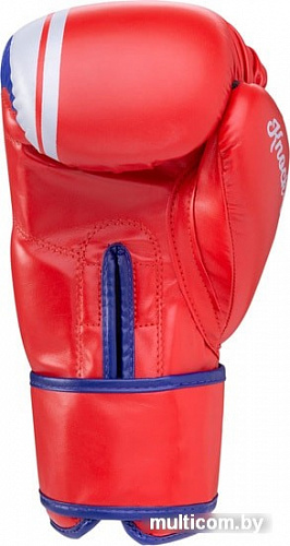 Перчатки для единоборств Green Hill Knockout BGK-2266 (10 oz, красный)