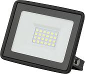 Уличный прожектор ЭРА LPR-023-0-30K-030