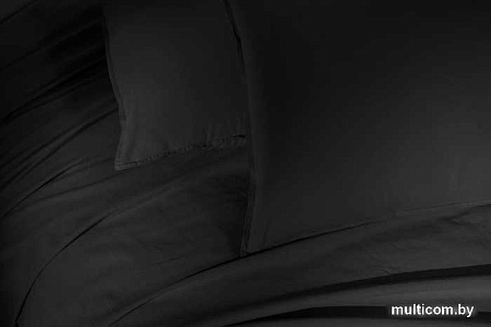 Постельное белье Arya Natural Stone Washed 8680943228192 (черный)