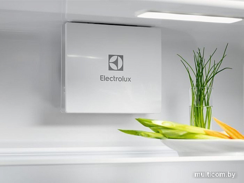 Холодильник Electrolux GreenZone 700 LNG7TE18S