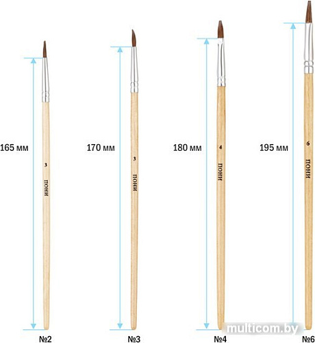 Набор кистей ArtSpace пони круглые № 2,3, плоские №4,6 SB4_20382 (4 шт)
