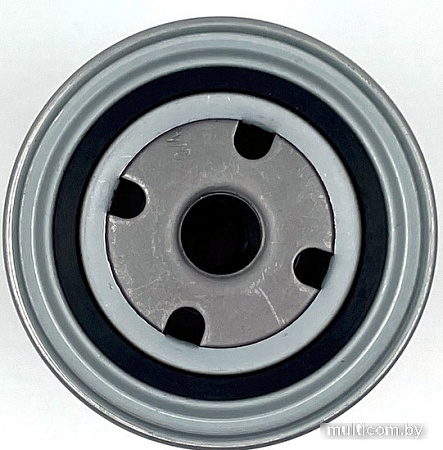 BIG Filter Spin-on GB-1091