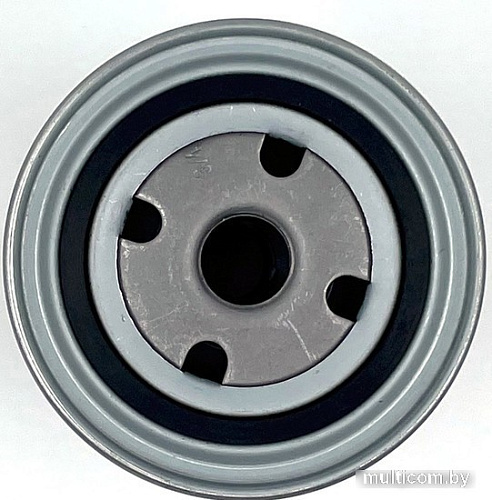 BIG Filter Spin-on GB-1091