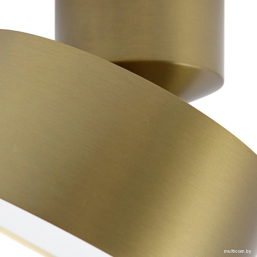 Спот TruEnergy 11517