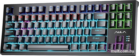 Клавиатура AULA F3032