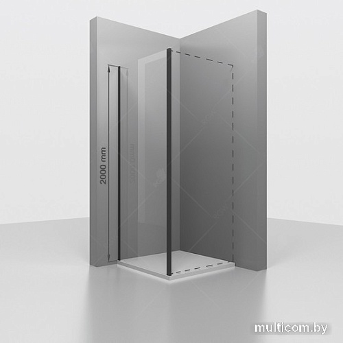 Душевая стенка RGW Z-050-3 352253100-11 100 (хром/прозрачное стекло)