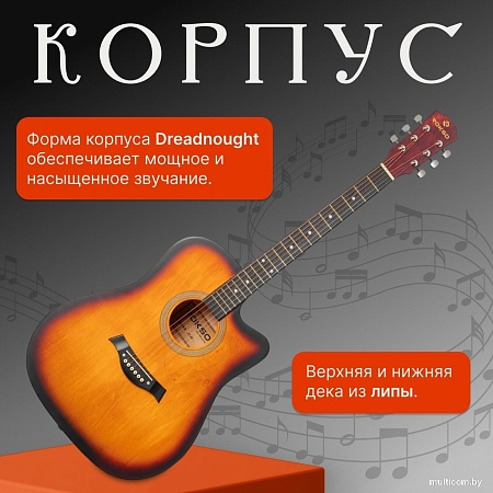 Акустическая гитара ROKSO FT-221-3TS