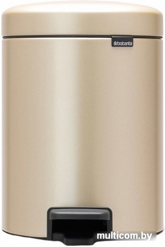 Brabantia Pedal Bin NewIcon 5 л (платиновый)