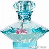 Парфюмерная вода Britney Spears Curious EdP (100 мл)