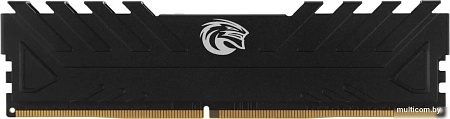 Оперативная память KingSpec Storm 32ГБ DDR4 3200 МГц KS3200D4M13532G