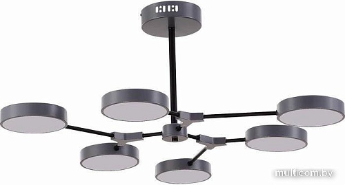 Люстра средней высоты Evoluce Monta SLE6003-702-06