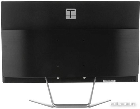 Моноблок ТЕСЛА Z24B 2116500