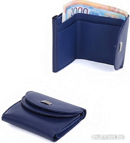 Кошелек Fabretti FA007N-8 (синий)