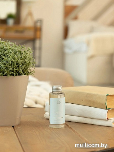 Жидкость для аромадиффузора Arida Home Hygge №21 Остров Борнео (100мл)