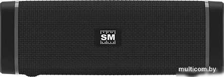 Беспроводная колонка Soundmax SM-PS5019B (черный)