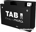 Мотоциклетный аккумулятор TAB YTX16-BS (14 А&middot;ч)