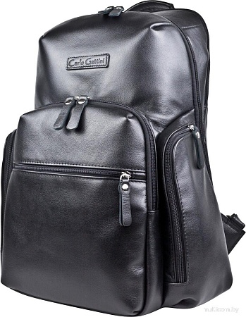 Carlo Gattini Classico Bertario 3102-01 (черный)