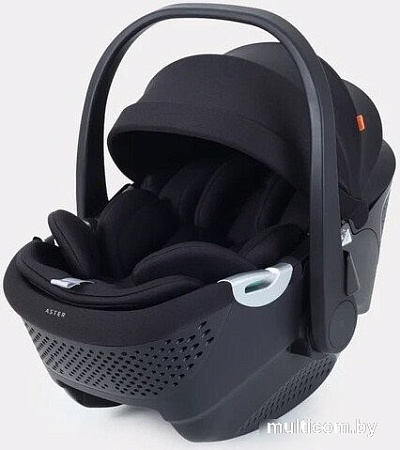 Детское автокресло Rant Aster Zero AY378 (черный)