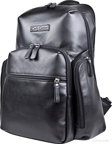 Carlo Gattini Classico Bertario 3102-01 (черный)