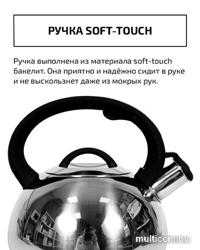 Чайник со свистком TimA WTK250