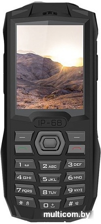 Мобильный телефон Blackview BV1000 (черный)