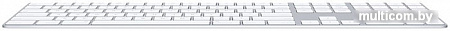 Клавиатура Apple Magic Keyboard [MQ052RS]