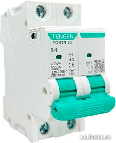 Выключатель автоматический Tengen TGB1N-63 2P 4A B 6kA 2M TGB1N-63-2-04B