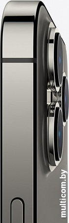 Смартфон Apple iPhone 13 Pro Max 1TB (графитовый)