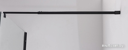 Душевая стенка Saniteco Walk-In SN-W8TB110 (110x200, прозрачное стекло, черный профиль)