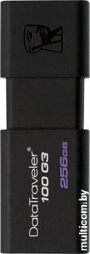 USB Flash Kingston DataTraveler 100 G3 256GB