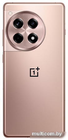 Смартфон OnePlus Ace 3 16GB/512GB китайская версия (бронзовый)