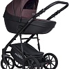 Универсальная коляска Riko Basic Pacco (3 в 1, 01 plum)