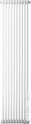 Стальной трубчатый радиатор Royal Thermo Insignia C3030 - 14 секций RAL9016
