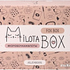 Подарочный набор Milota Box Fox Box MB096