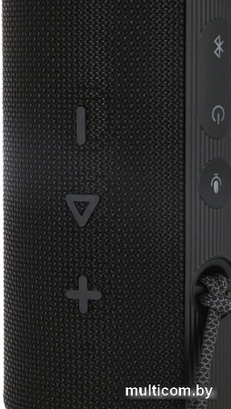 Беспроводная колонка HONOR Choice Portable Bluetooth Speaker Pro (черный)